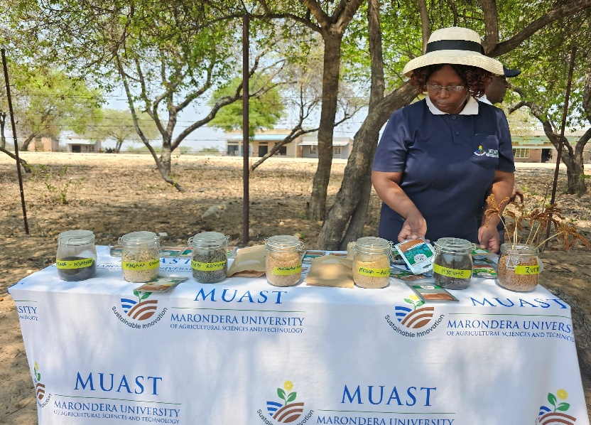 Seed and food fair in Mudzi District